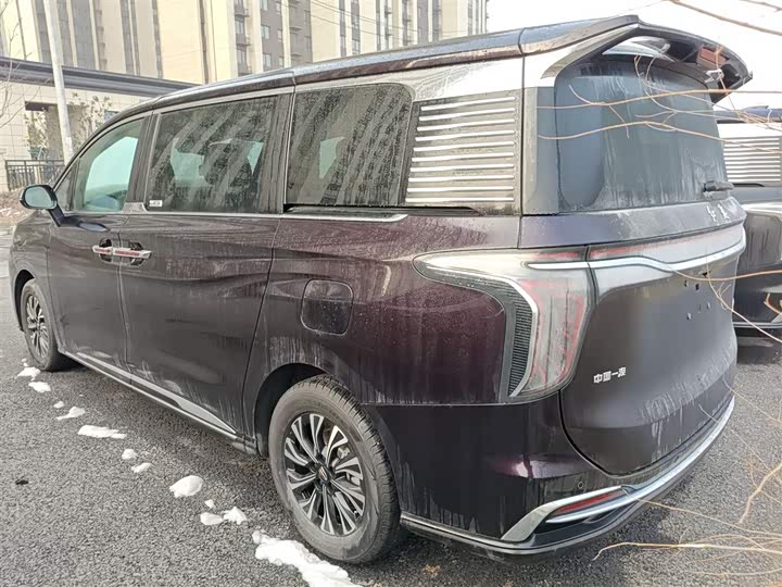 Фото 5 - Hongqi HQ9 Hybrid