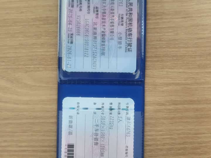 Фото 4 - BYD Han L