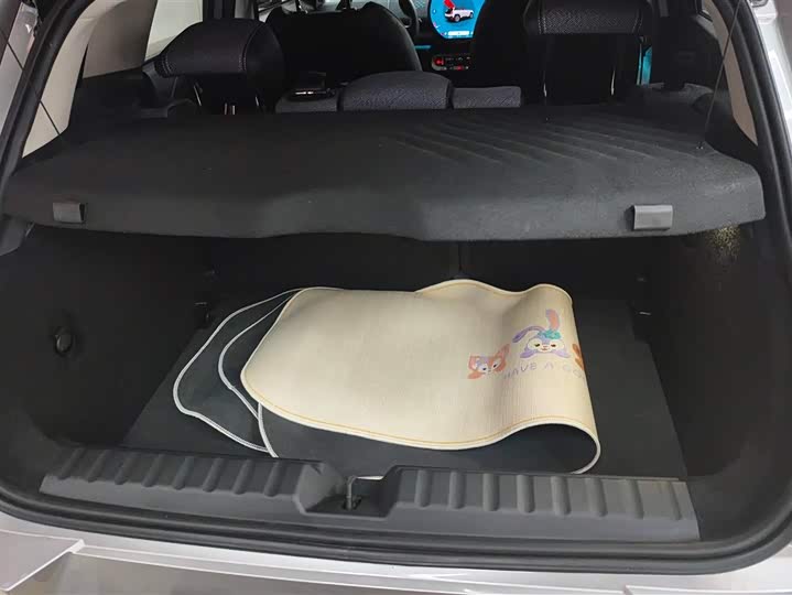 Фото 4 - Mini Aceman