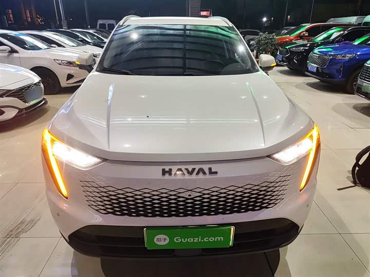 Фото 3 - Haval Ruge Max