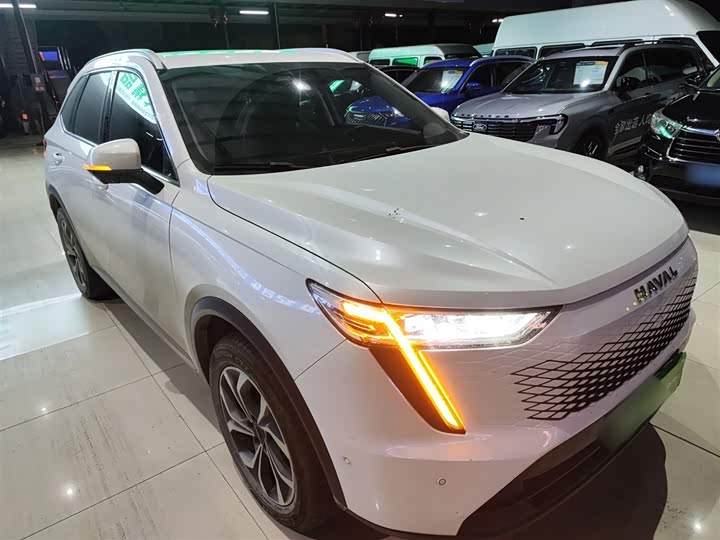 Фото 4 - Haval Ruge Max