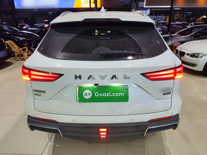 Фото 6 - Haval Ruge Max