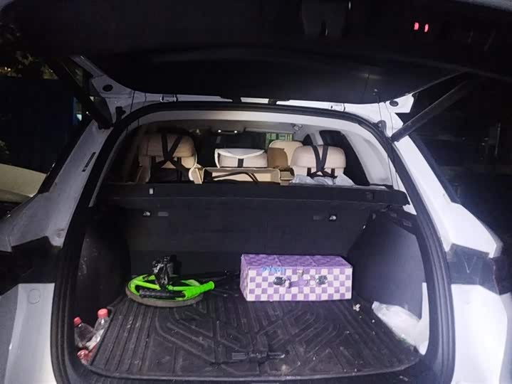 Фото 4 - BYD Song Pro Hybrid