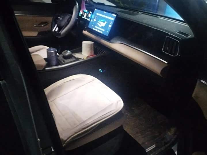 Фото 8 - BYD Song Pro Hybrid