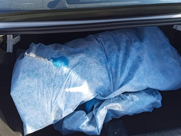 Фото 4 - BYD Qin Plus