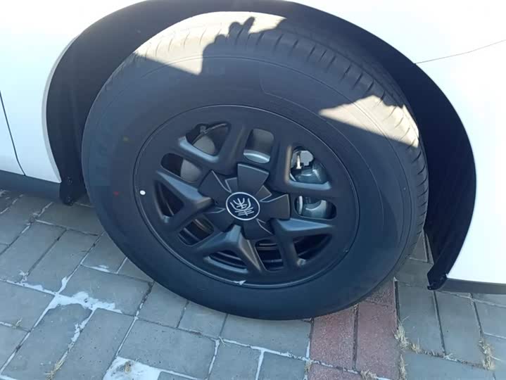 Фото 6 - BYD Qin Plus