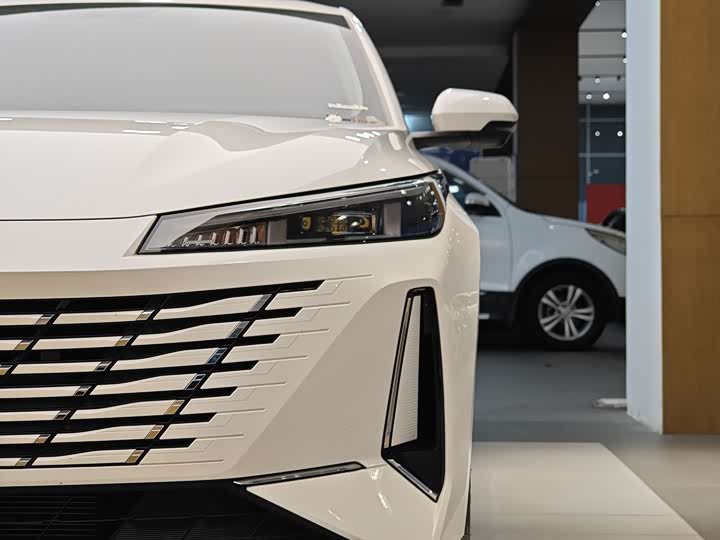 Фото 2 - Changan Eado Plus