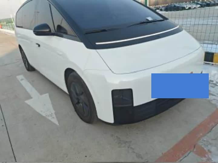 Фото 2 - LiXiang Mega