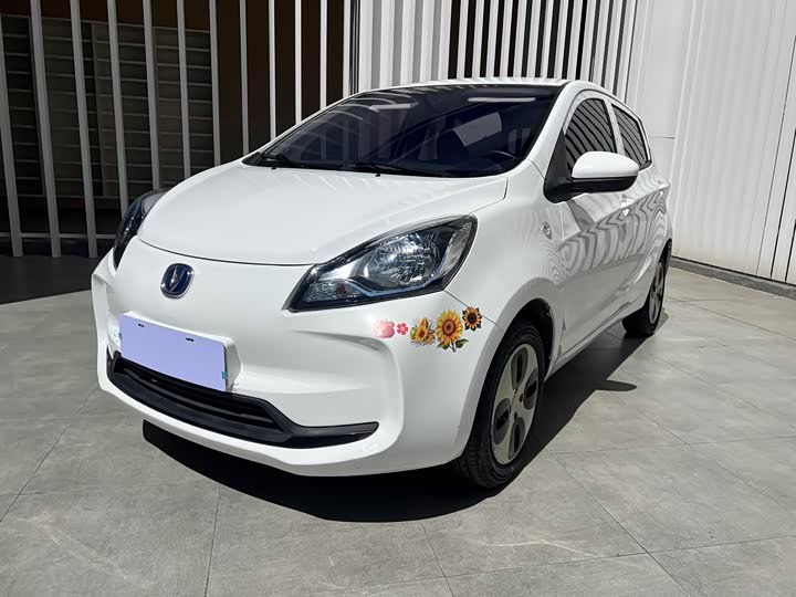 Фото 1 - Changan BenBen E-Star