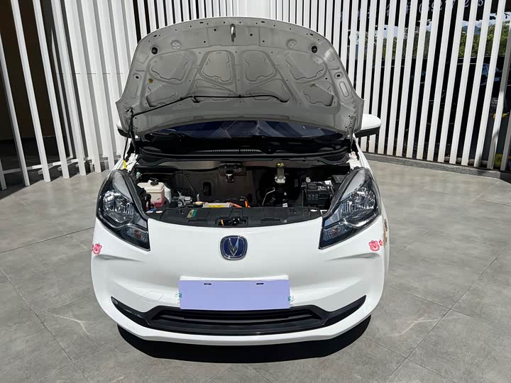 Фото 9 - Changan BenBen E-Star