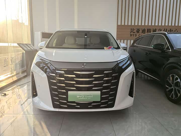 Фото 2 - BYD Xia