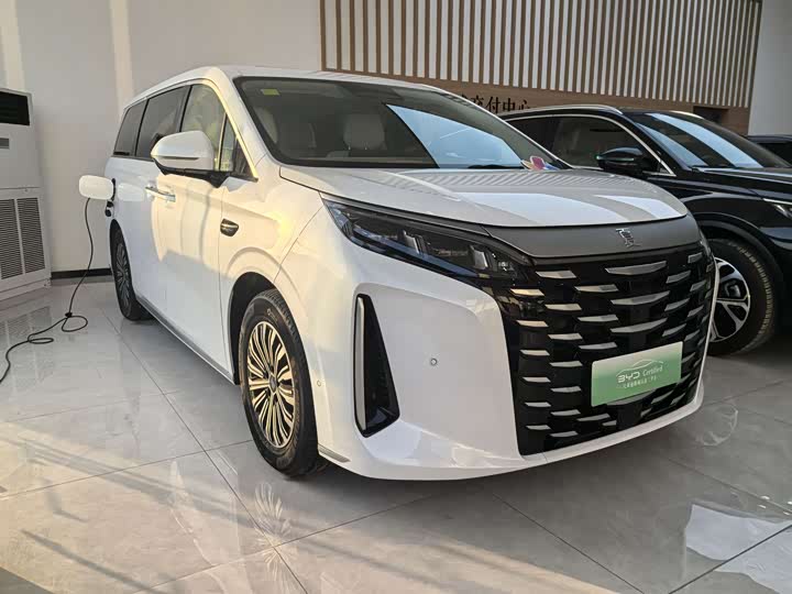 Фото 3 - BYD Xia