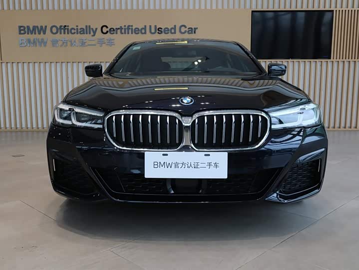 Фото 4 - BMW 5 Series Hybrid