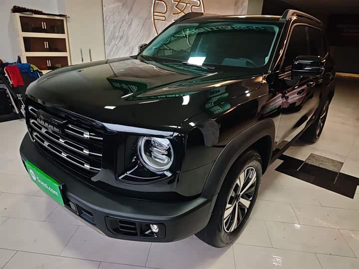 Фото 2 - Haval Dargo