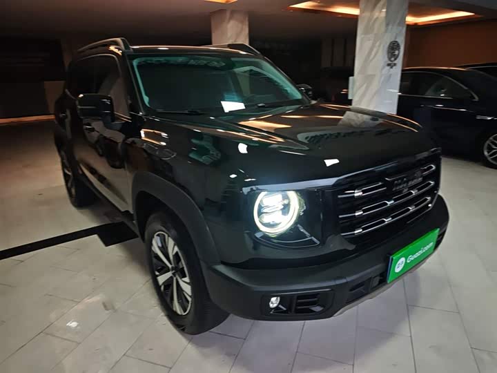 Фото 4 - Haval Dargo