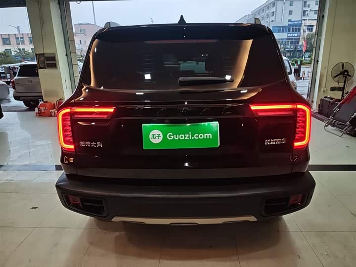 Фото 6 - Haval Dargo