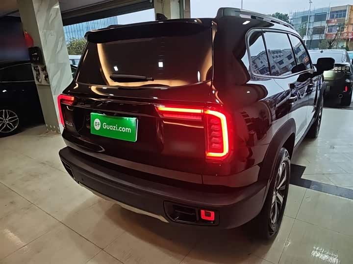 Фото 7 - Haval Dargo