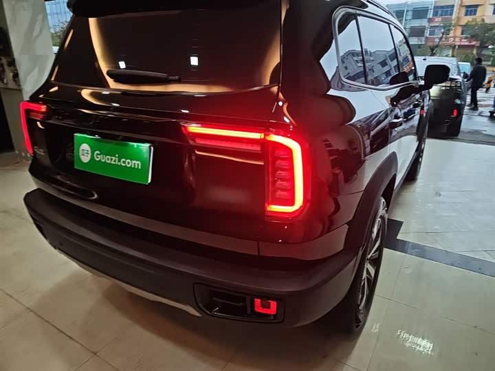 Фото 8 - Haval Dargo