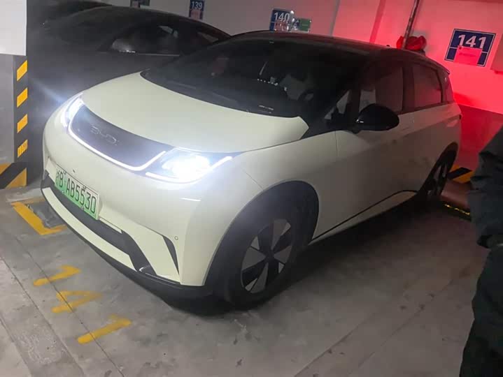 Фото 1 - BYD Dolphin