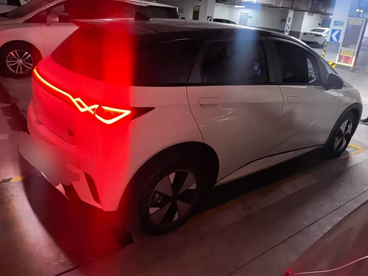 Фото 3 - BYD Dolphin