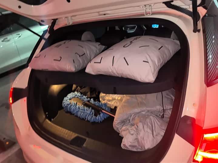 Фото 4 - BYD Dolphin