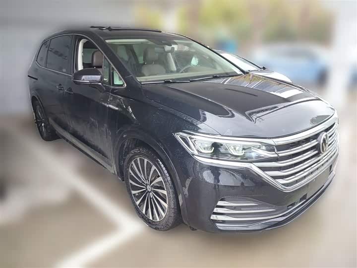 Фото 7 - Volkswagen Viloran