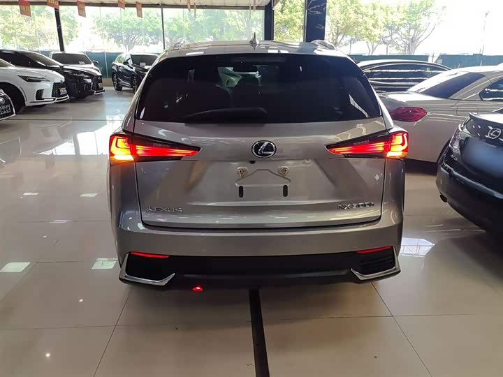 Фото 6 - Lexus NX