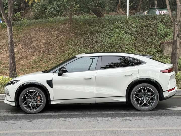 Фото 3 - BYD Song L