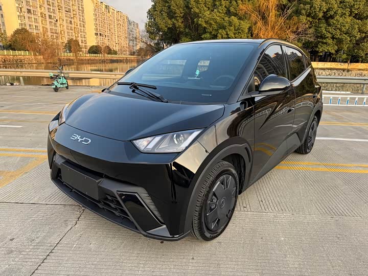 Фото 1 - BYD Seagull