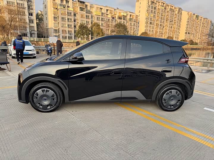 Фото 3 - BYD Seagull