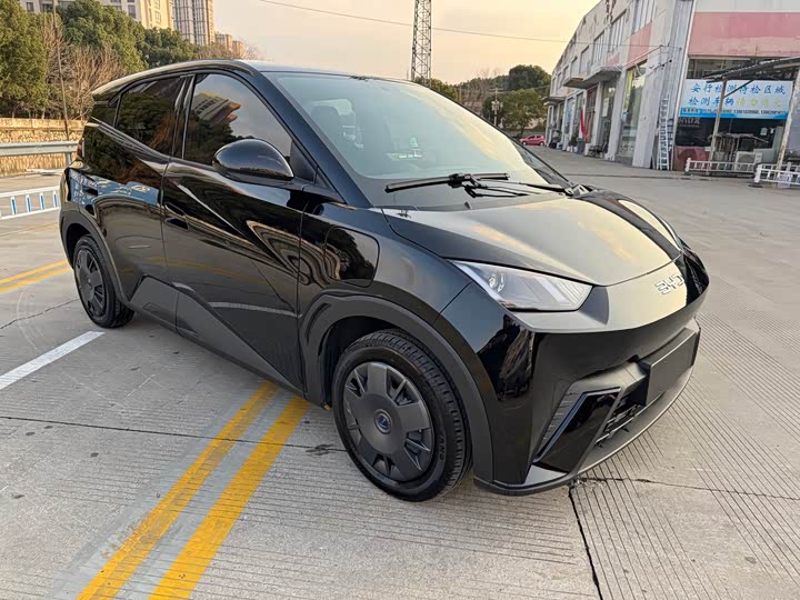 Фото 8 - BYD Seagull