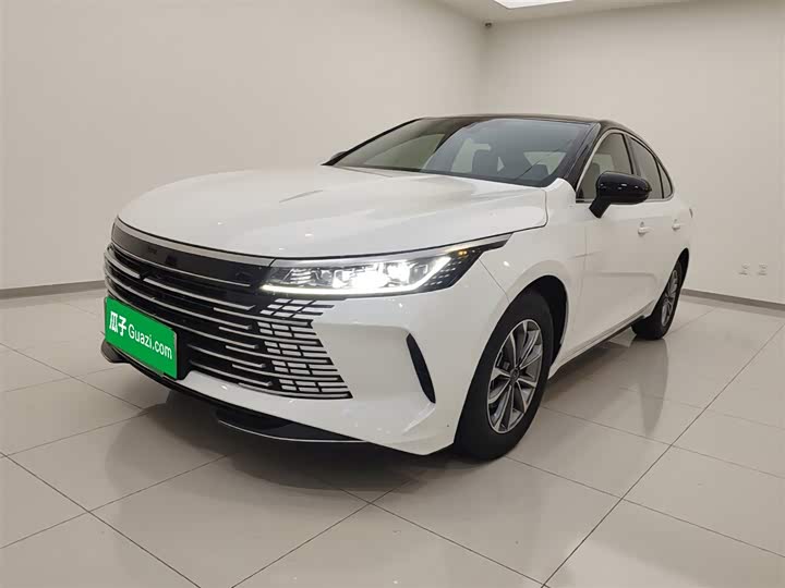 Фото 2 - BYD Destroyer 05