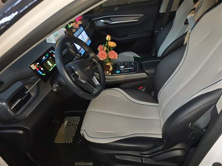 Фото 8 - BYD Destroyer 05