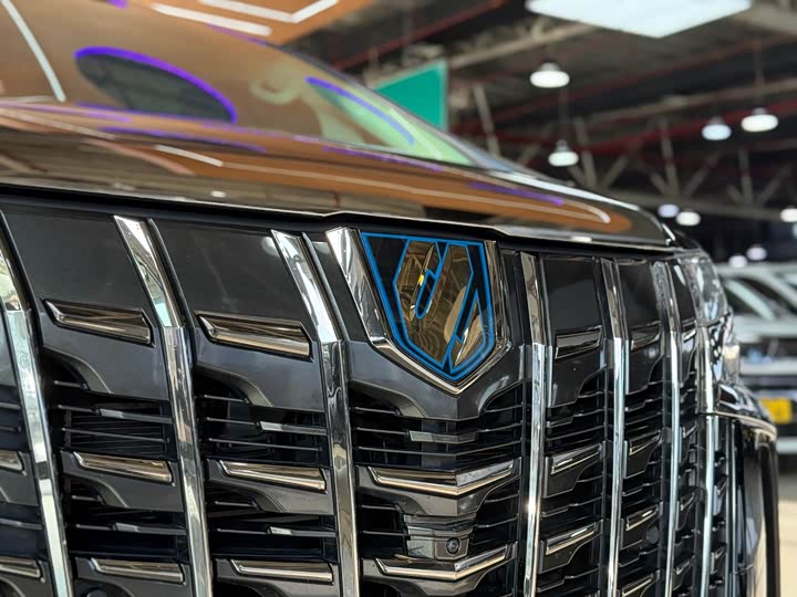 Фото 6 - Toyota Alphard