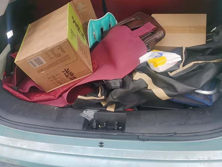 Фото 4 - Hozon V