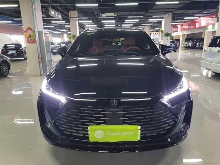 Фото 3 - BYD Tang Hybrid/EV