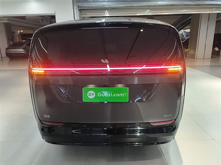 Фото 6 - LiXiang Mega