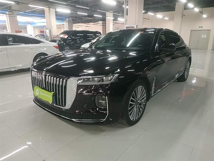 Фото 2 - Hongqi H9