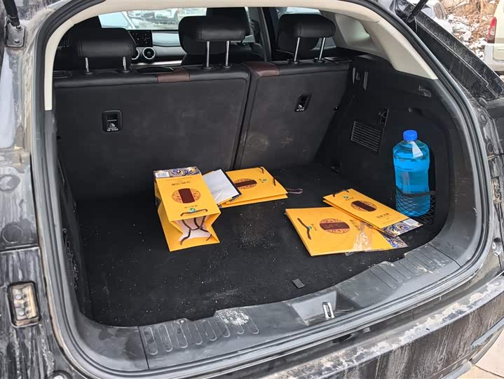 Фото 4 - Wey VV5