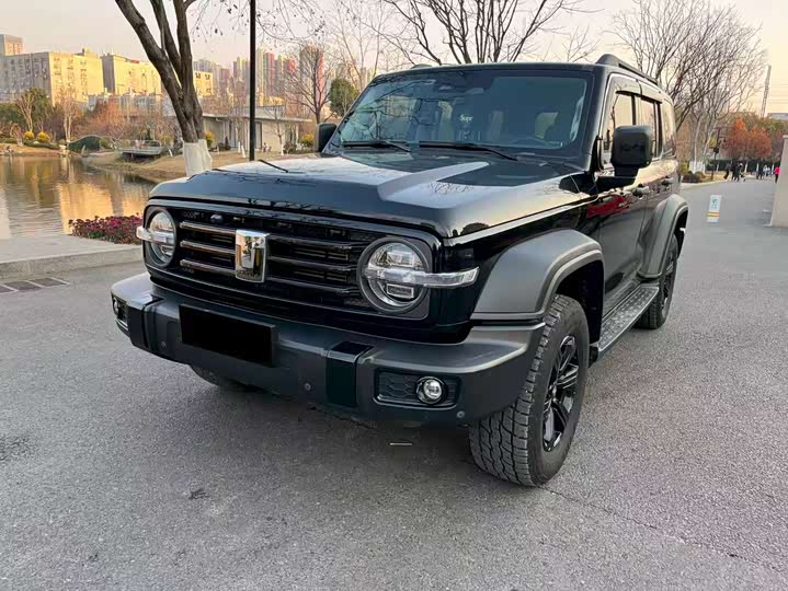 Фото 1 - Tank 300