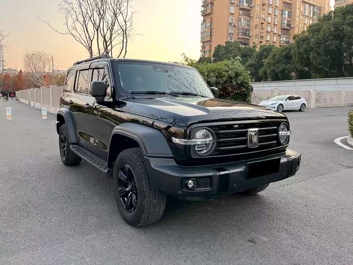 Фото 3 - Tank 300