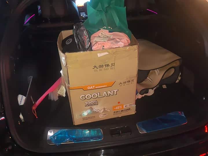 Фото 4 - Wey Mocca Hybrid