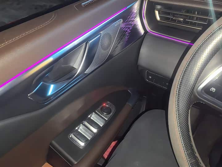 Фото 7 - Wey Mocca Hybrid