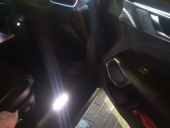 Фото 8 - Wey Mocca Hybrid