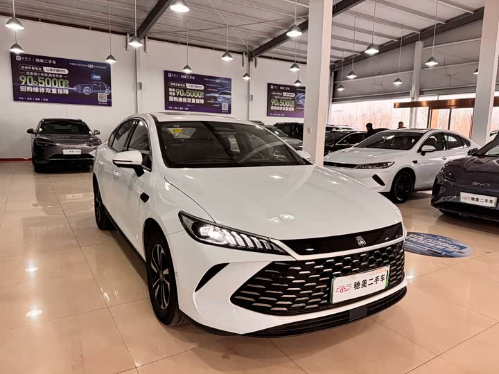 Фото 3 - BYD Qin Plus