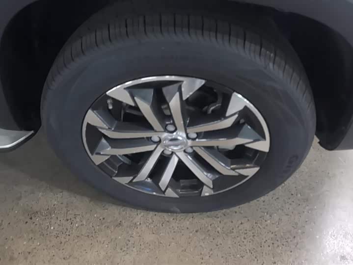 Фото 6 - Haval Dargo