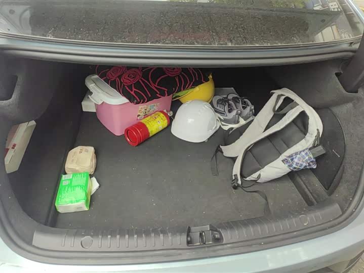 Фото 4 - BYD Han