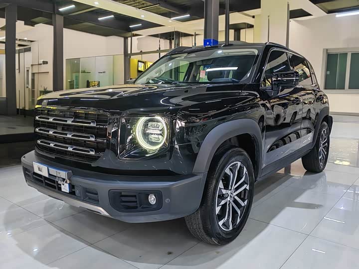 Фото 1 - Haval Dargo