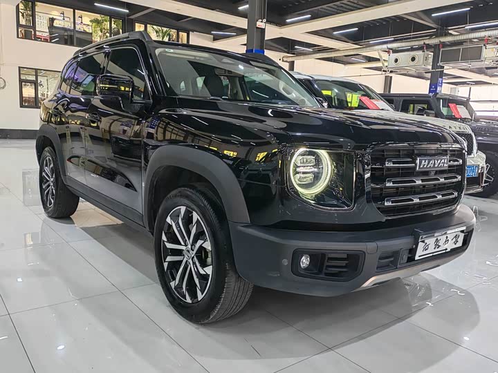 Фото 3 - Haval Dargo