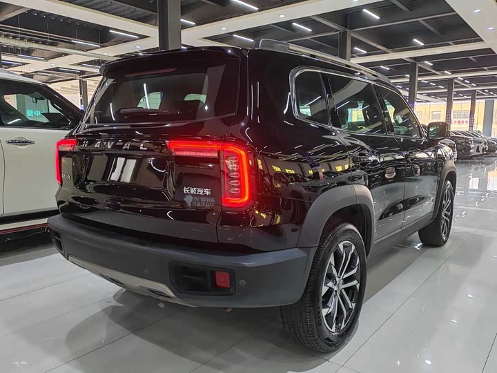 Фото 7 - Haval Dargo